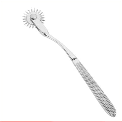 Wartenberg Pleasure Wheel Silver