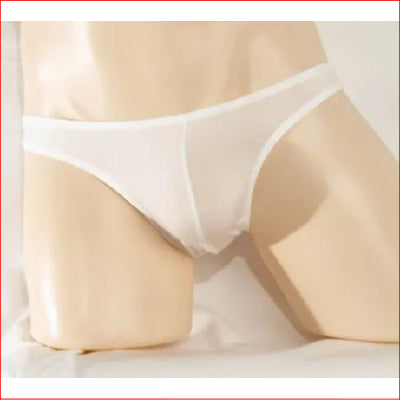 259 Mens Mesh Brief White Large