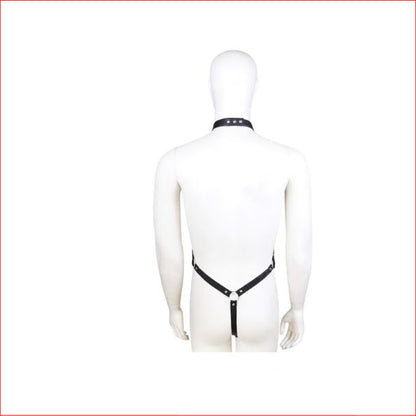 Mens Wet Look G with Harness