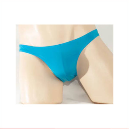 259 Mens Mesh Brief Blue Medium