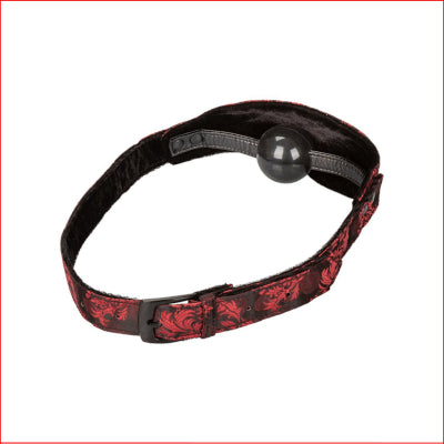 Scandal Hidden Pleasure Ball Gag