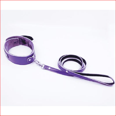 BB Fur Lined Collar & Chain Lead Purple