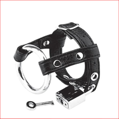 Blue Line Duo Cock & Ball Lock