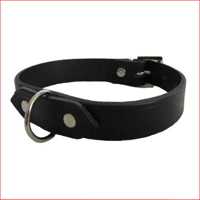 COLLAR Plain 1 dee
