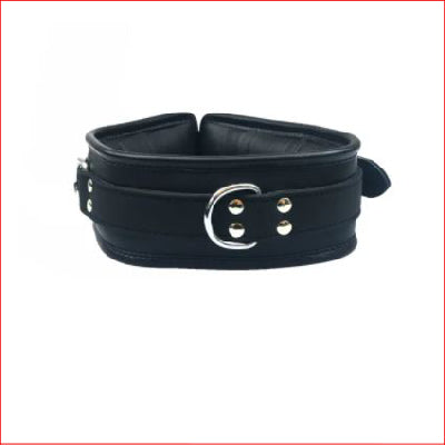 Padded Leather Collar Black