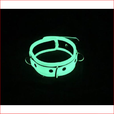 Glow in the Dark Collar and Lead Set