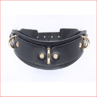 Faux Leather Posture Collar.