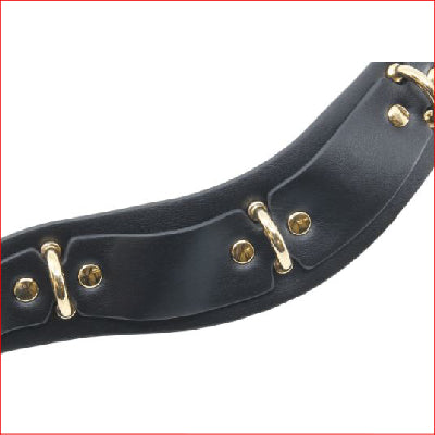 Faux Leather Posture Collar.