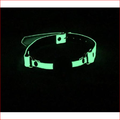 Glow In The Dark Gag