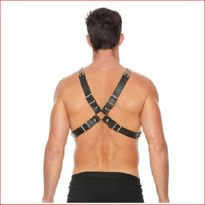 Ouch Chain and Chain Harness