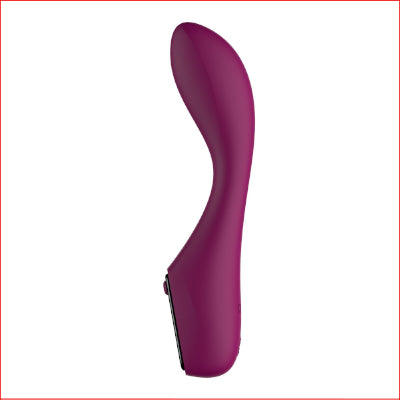 Passion Play G-Spot Vibrator with LED Screen